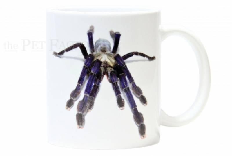 Kaffeebecher "Lampropelma violaceopes"